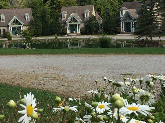 Spruce Hill Inn & Cottages Mansfield Bagian luar foto