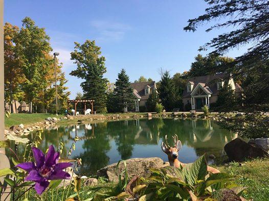 Spruce Hill Inn & Cottages Mansfield Bagian luar foto