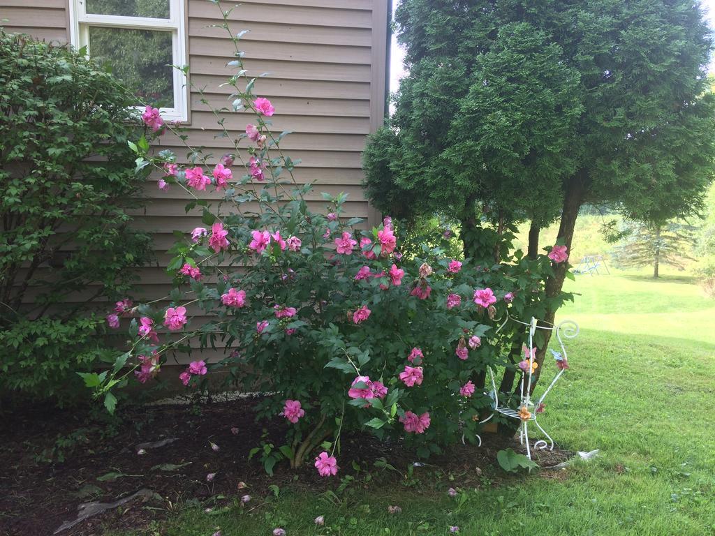 Spruce Hill Inn & Cottages Mansfield Bagian luar foto