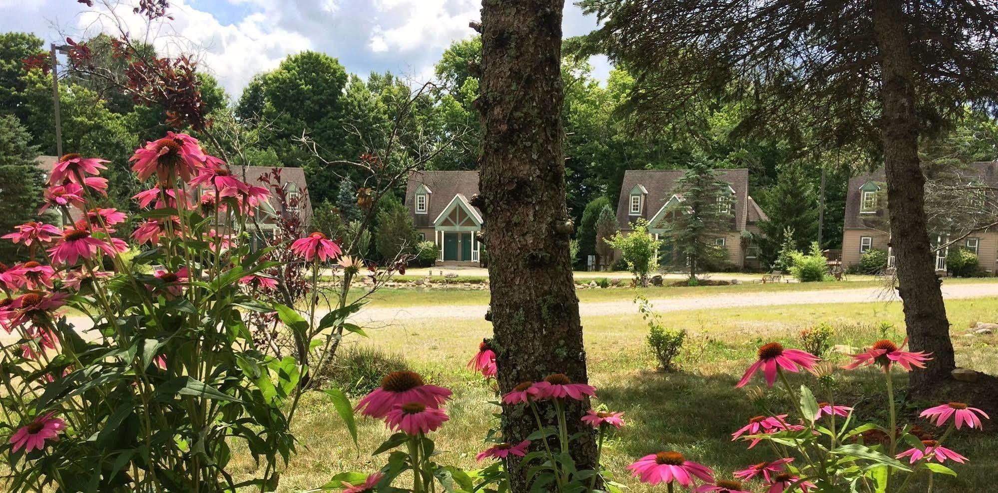 Spruce Hill Inn & Cottages Mansfield Bagian luar foto
